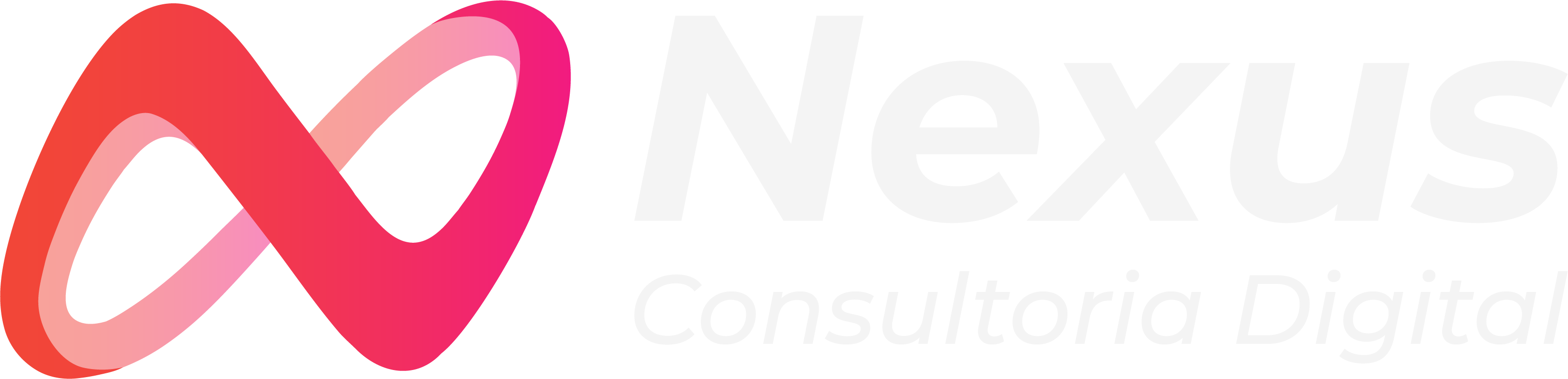 Nexus Logo